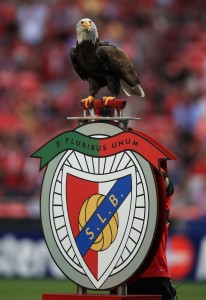 Águia pousa sobre o escudo do Benfica antes de jogo no Estádio da Luz